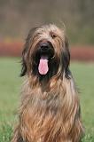 BRIARD 235